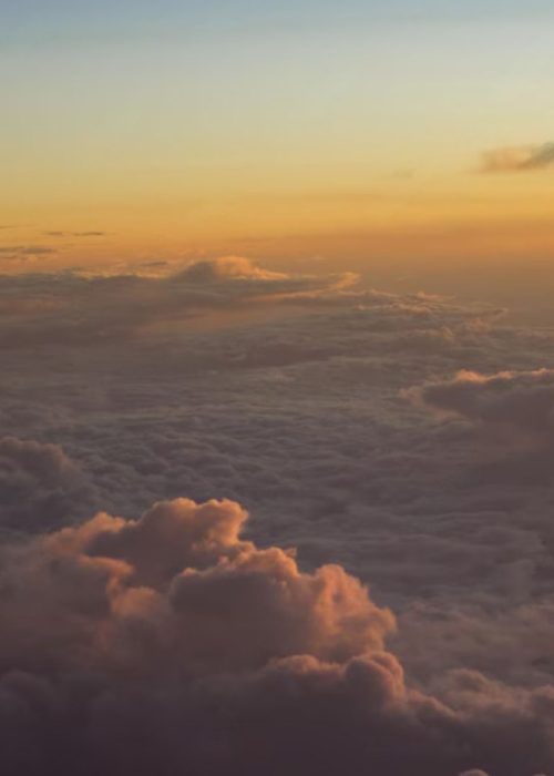 section-bakcground01